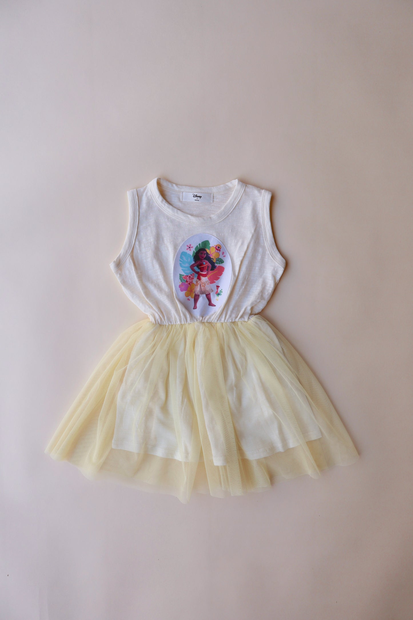 Princess TuTu Dress
