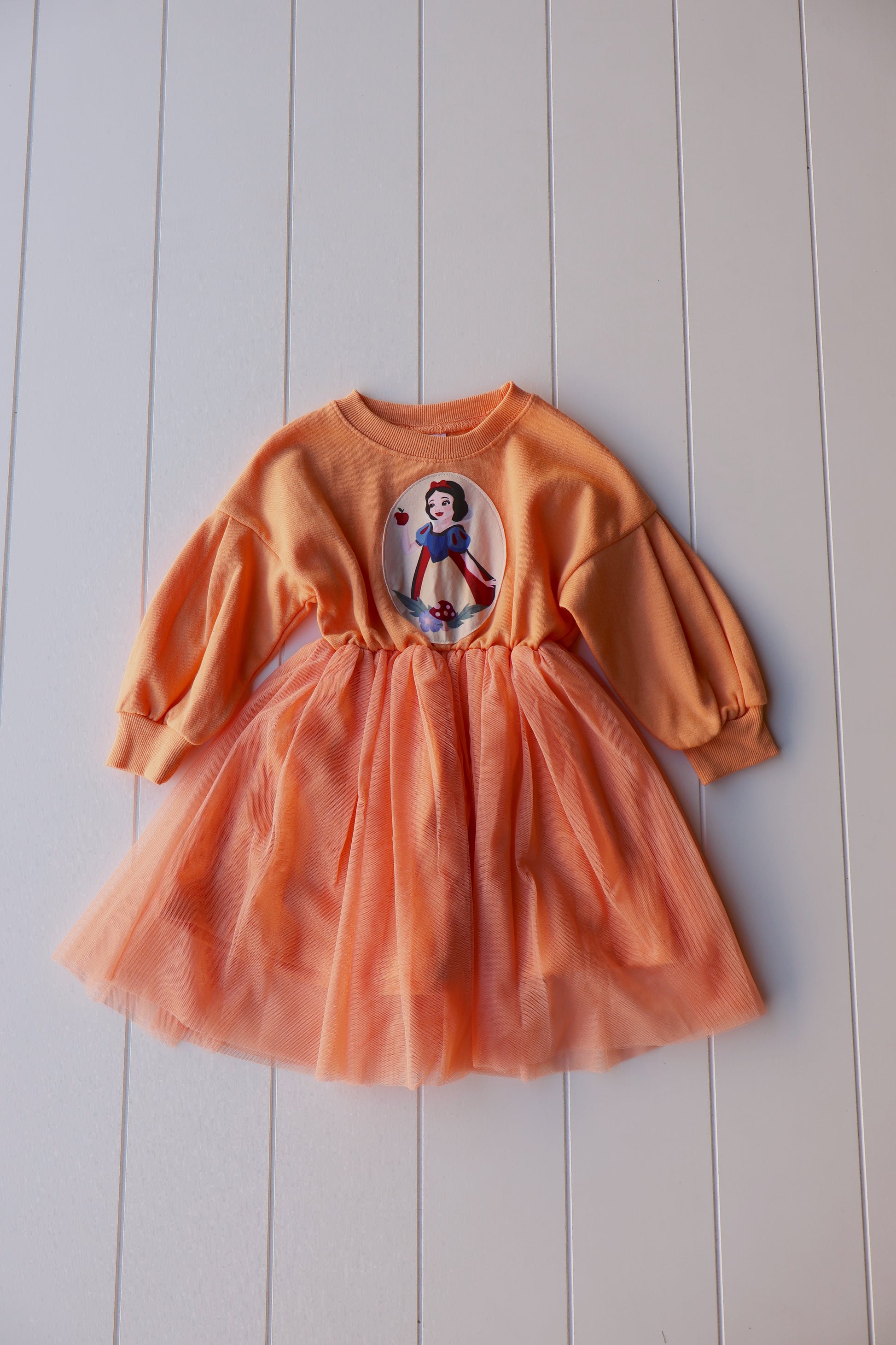 Disney Princess Dress – Axel and Rose Disney Princess Dress – Axel and Rose
