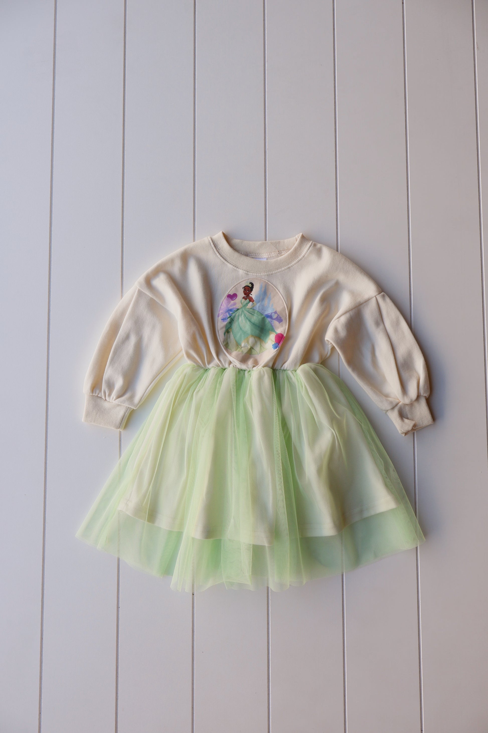 Disney Princess Dress Disney Princess Dress