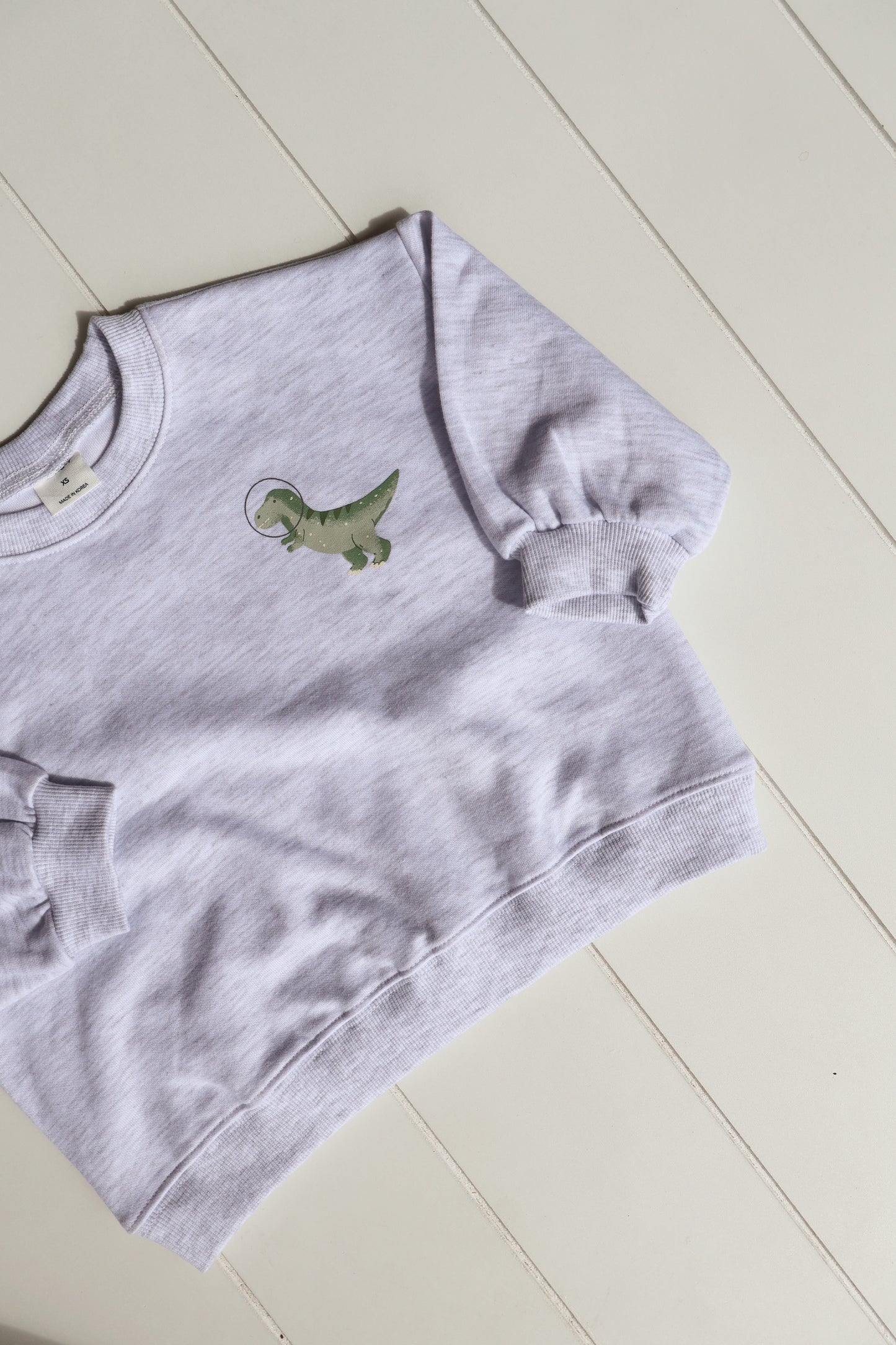 Space Dino Crew Neck
