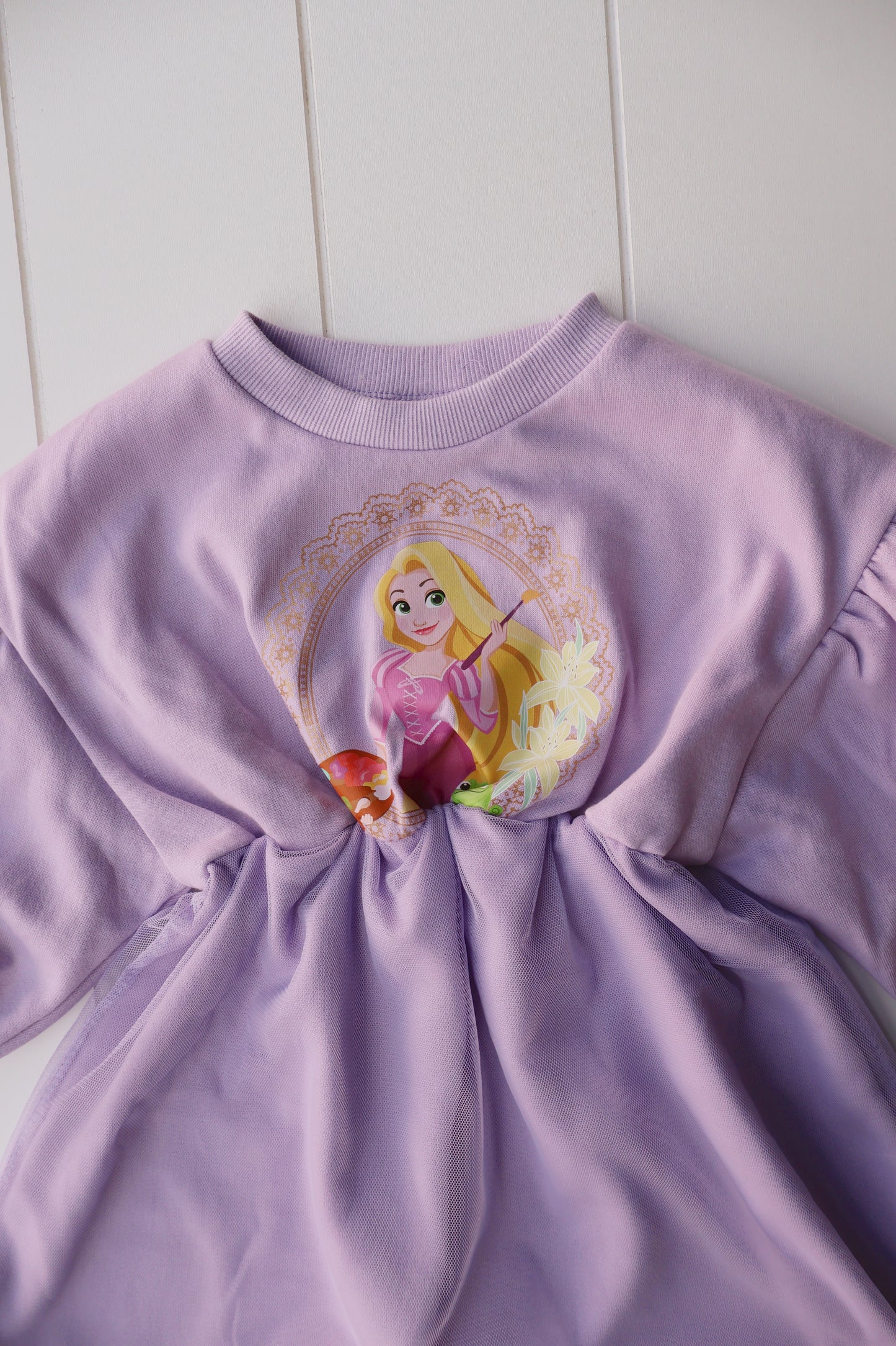 Ariel and Rapunzel Princess Dress