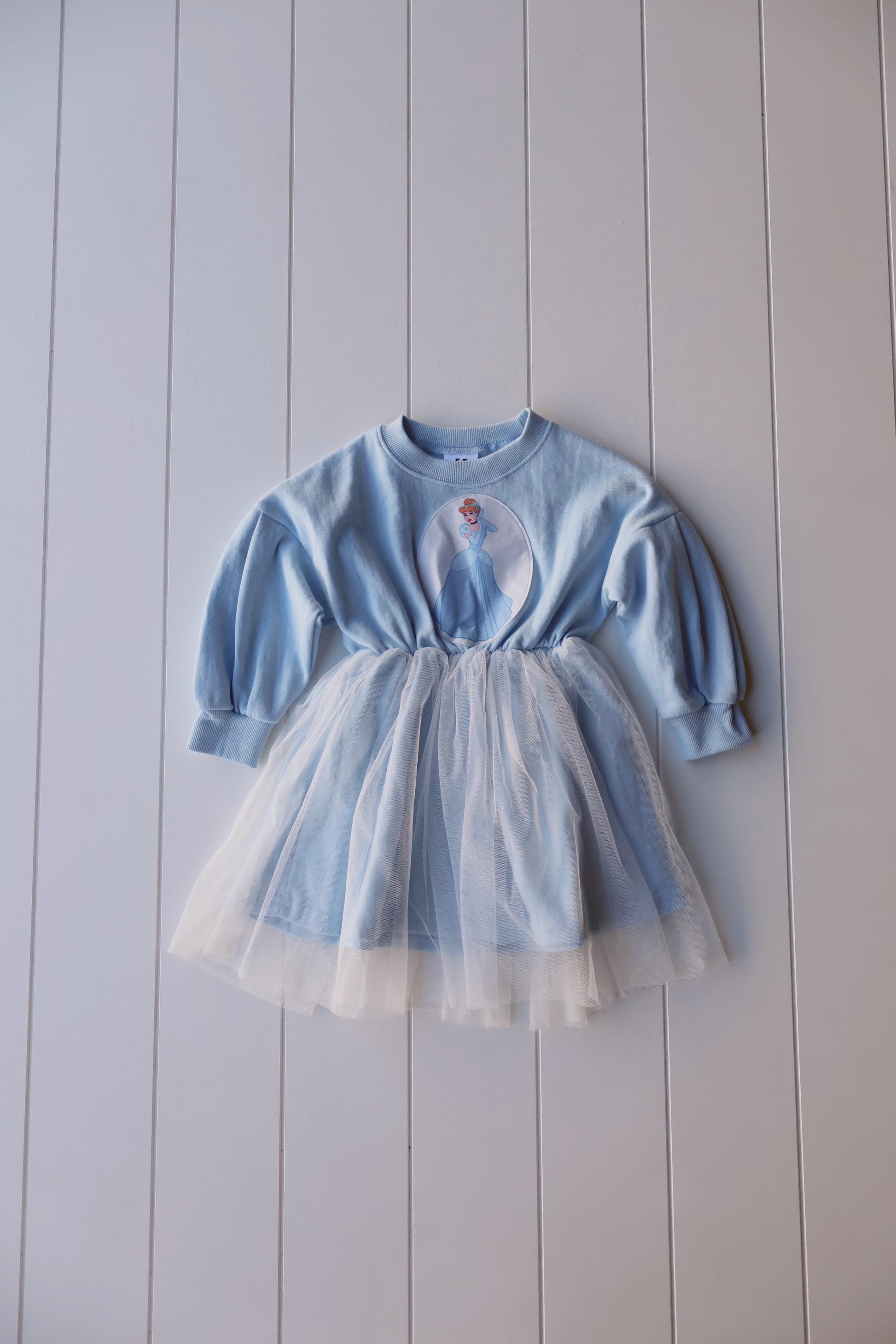 Disney Princess Dress Disney Princess Dress