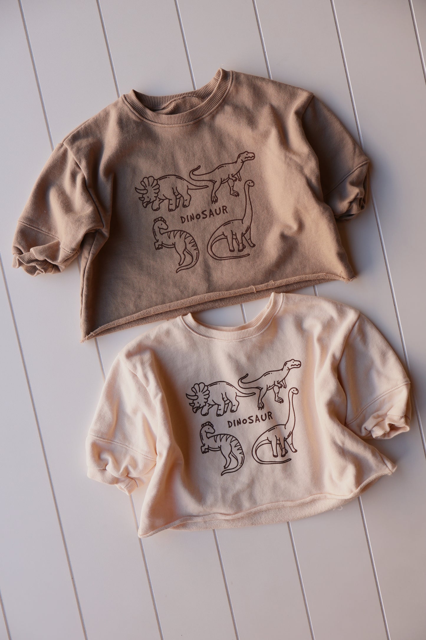 Dino Onesie/Crew Neck